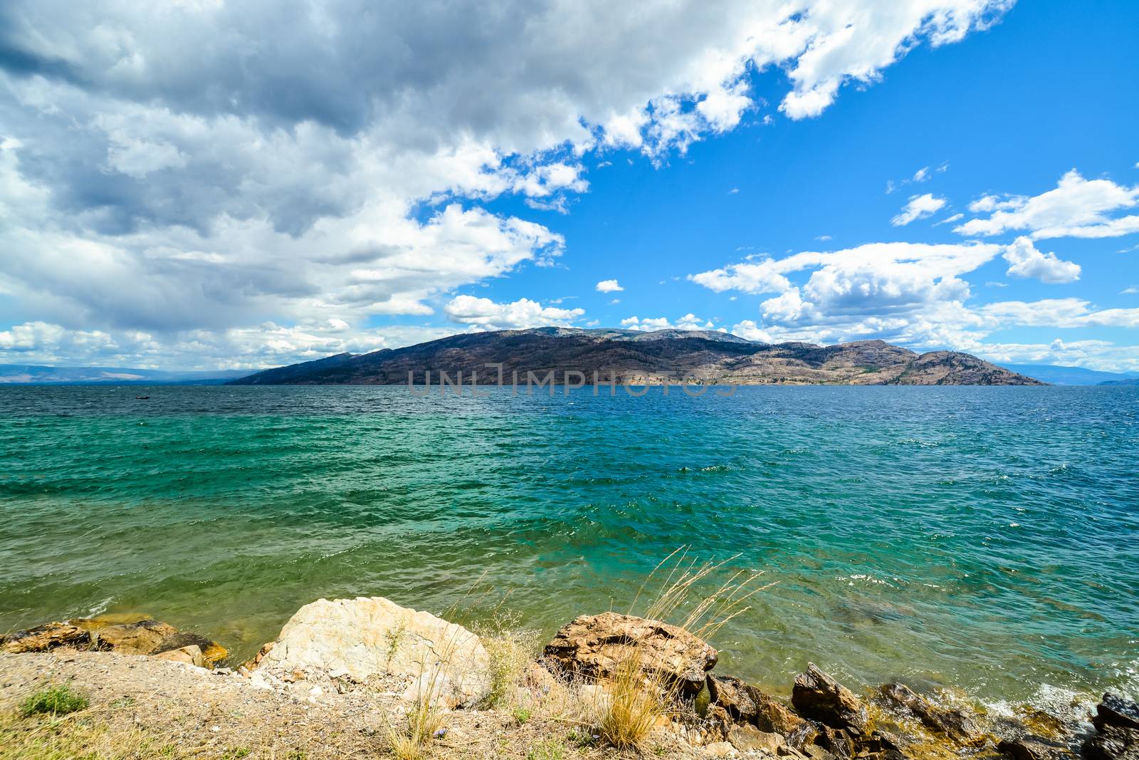 Beautiful view of Okanagan lake on summer day