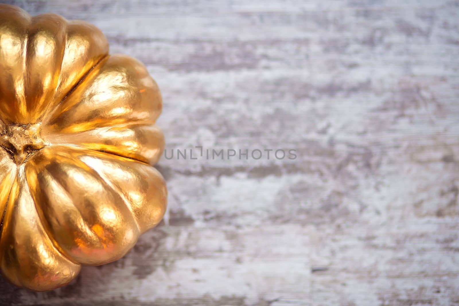 Top view of a large pumpkin painted gold. Postcard for Halloween. Autumn symbol