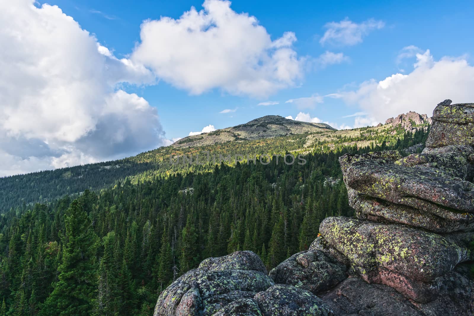 View from the cliff to the peak of the mountain surrounded by forest and thick clouds