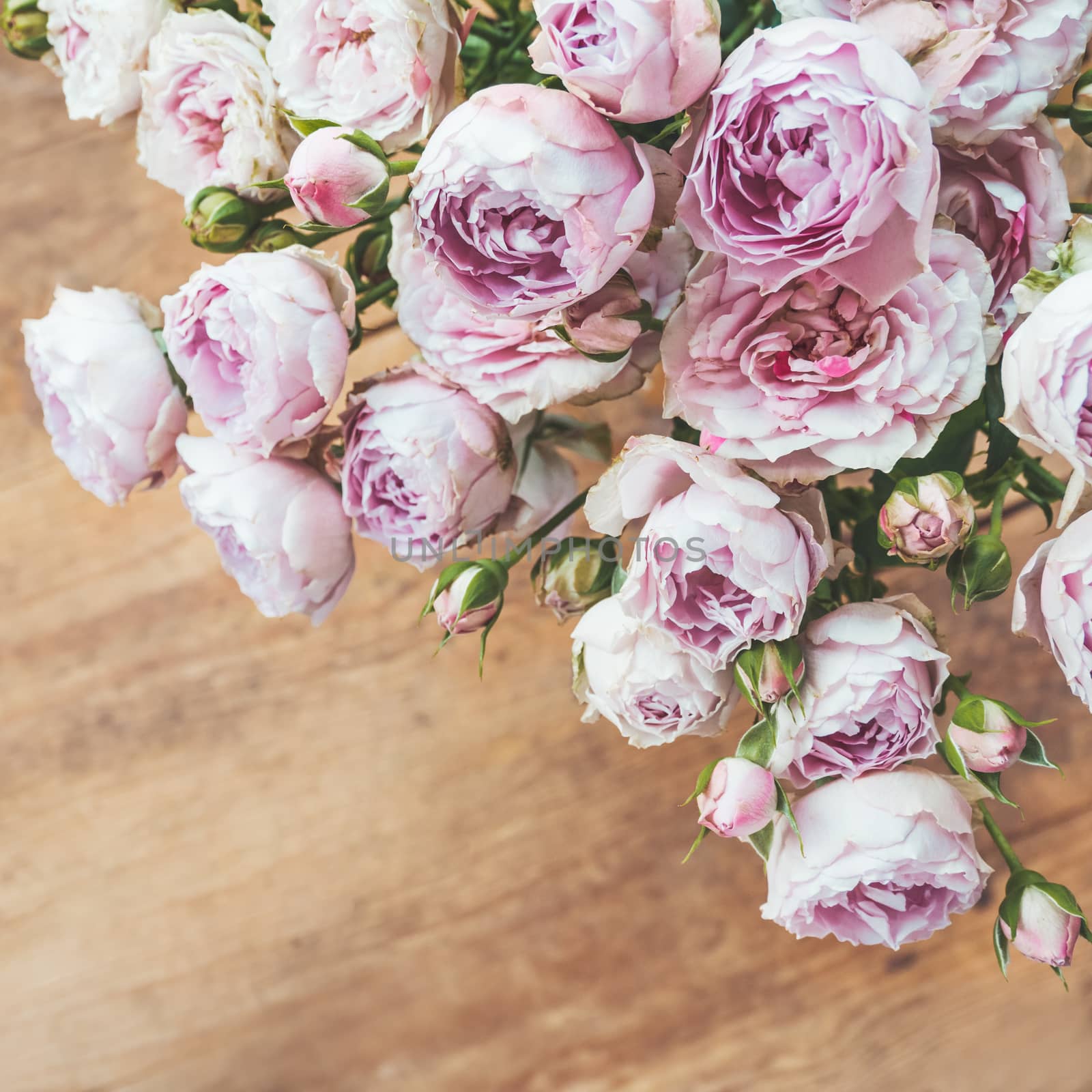 Bouquet of lilac colored roses upon wooden background. Top view, flat lay. Still life banner with copy space.