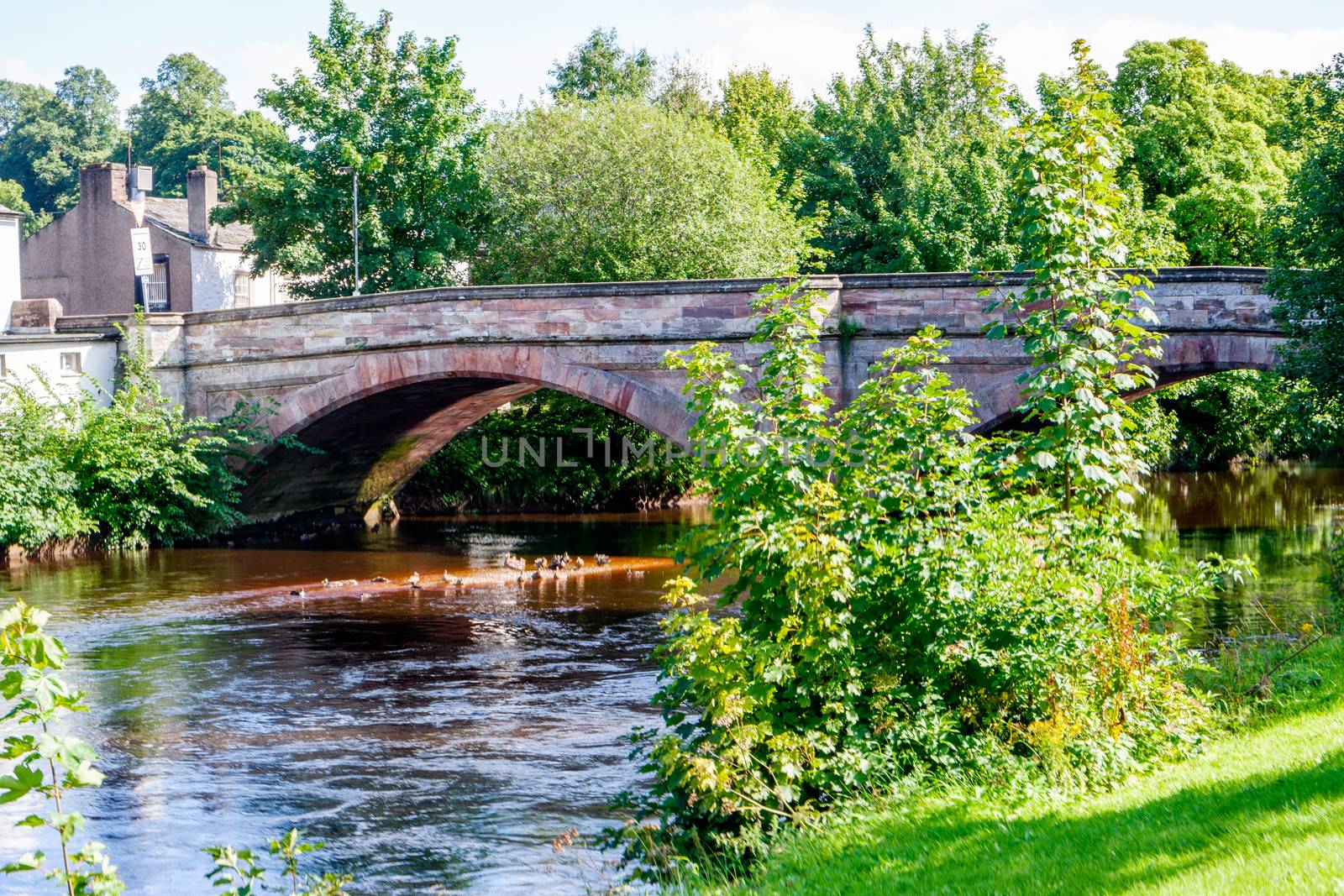 The River Eden at Appleby Cumbria England