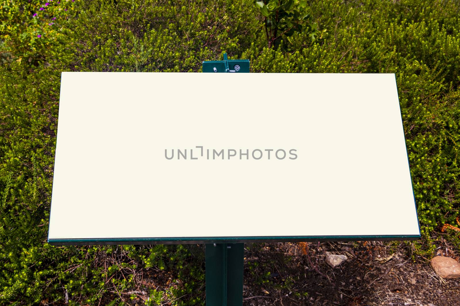 Green turquoise white empty blank information sign in Kirstenbosch, Cape Town, South Africa.