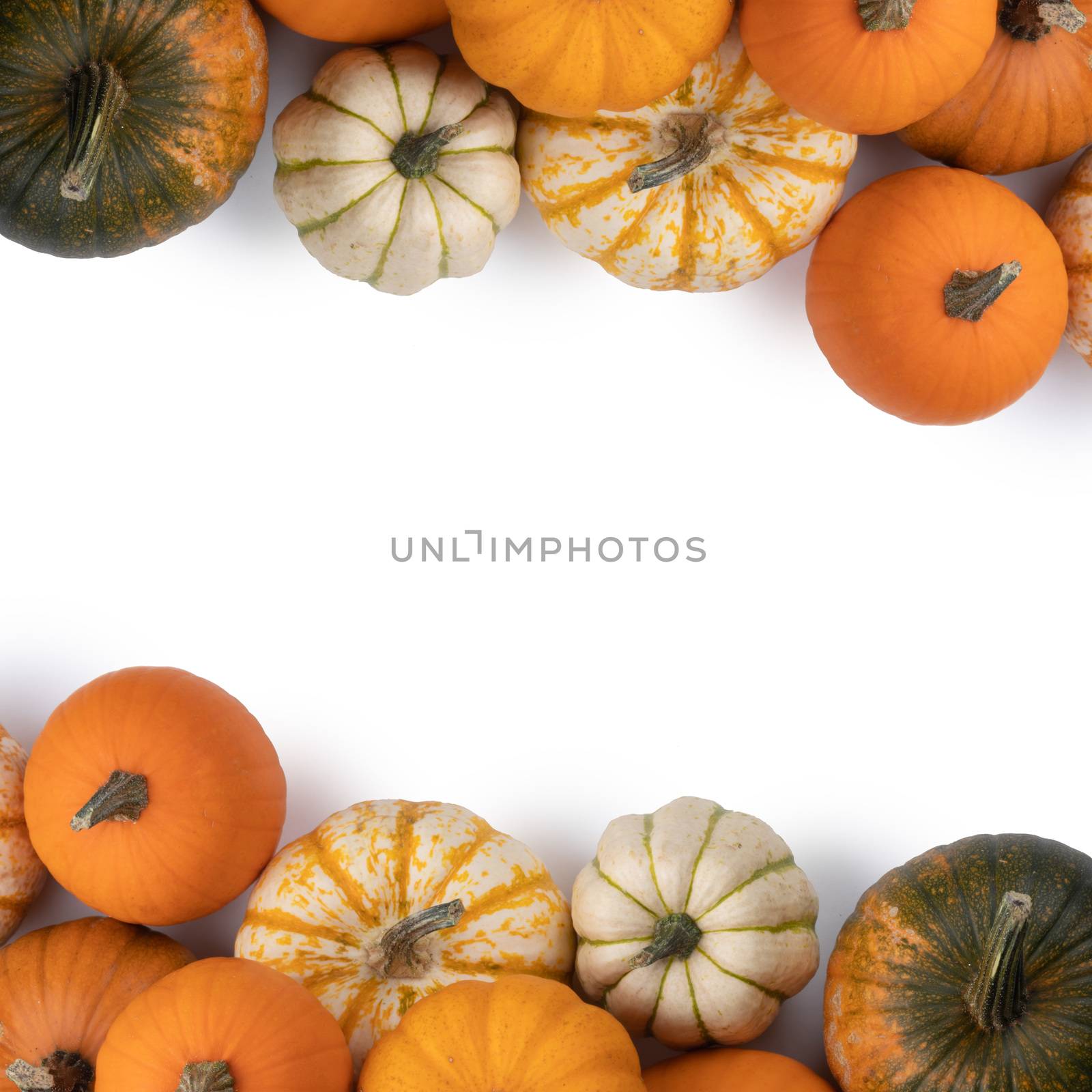 Frame of various pumpkins isolated on white background , Halloween concept , copy space for text