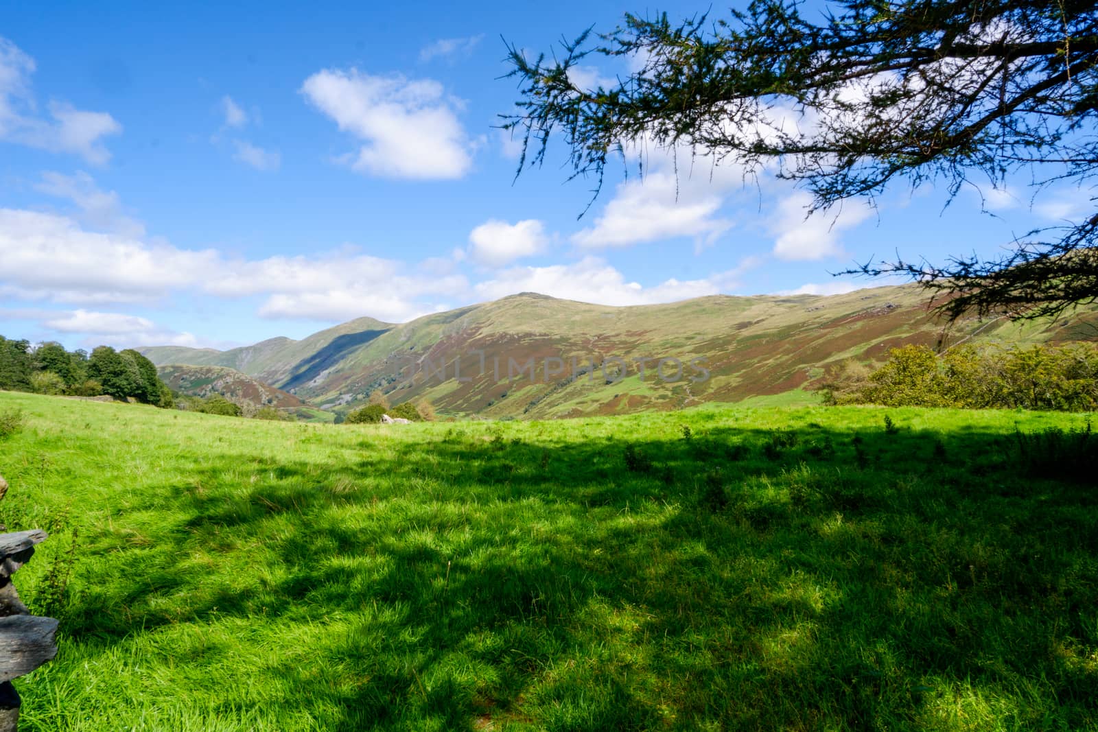 Rolling fells and valley in the Lake District with green fields in the summertime by paddythegolfer