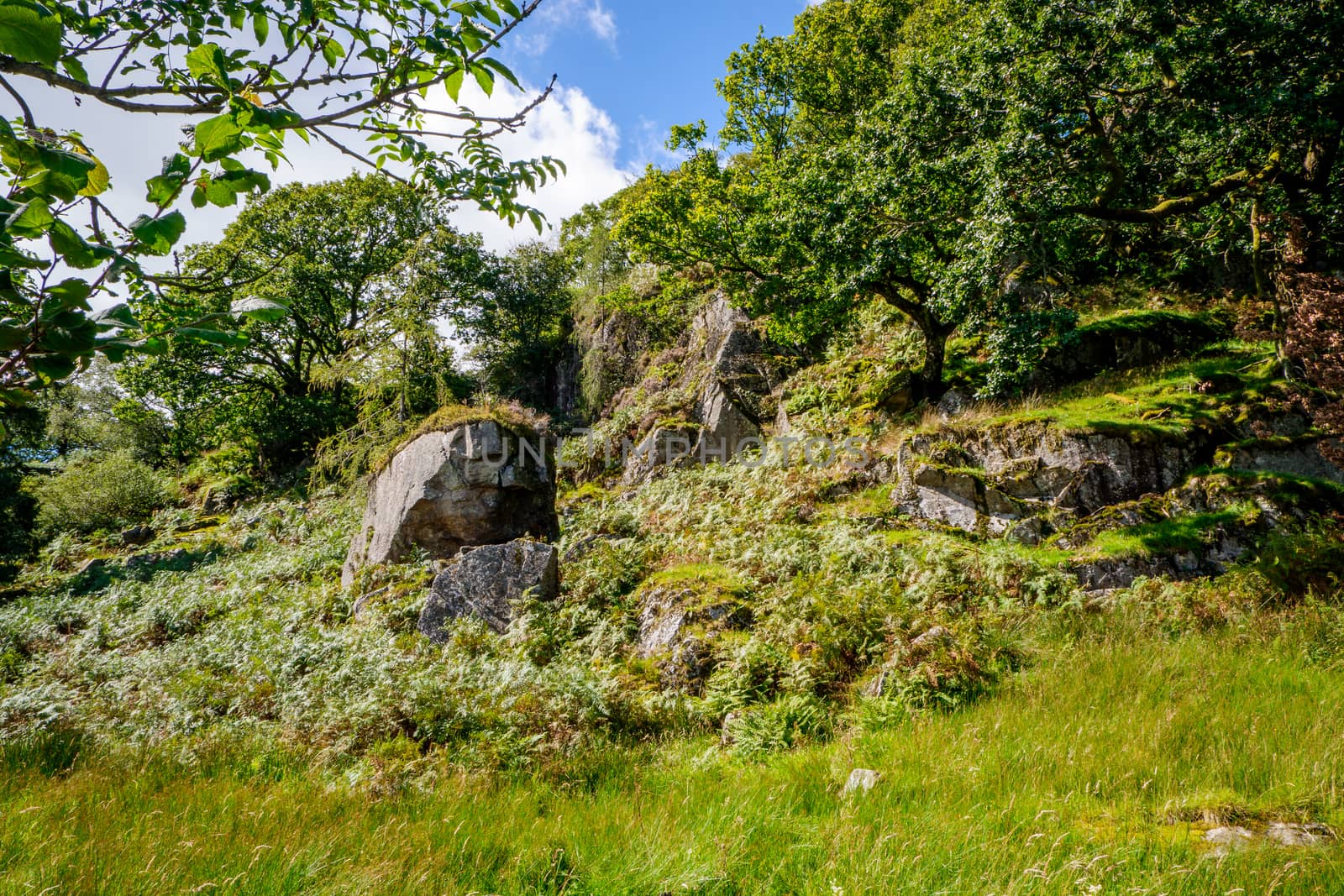 Rocky outcrop in the Lake District National Park in Cumbria, England, UK by paddythegolfer