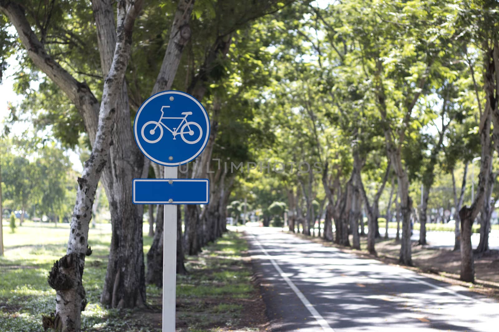 Signboard showing bike lane in a park. by Eungsuwat