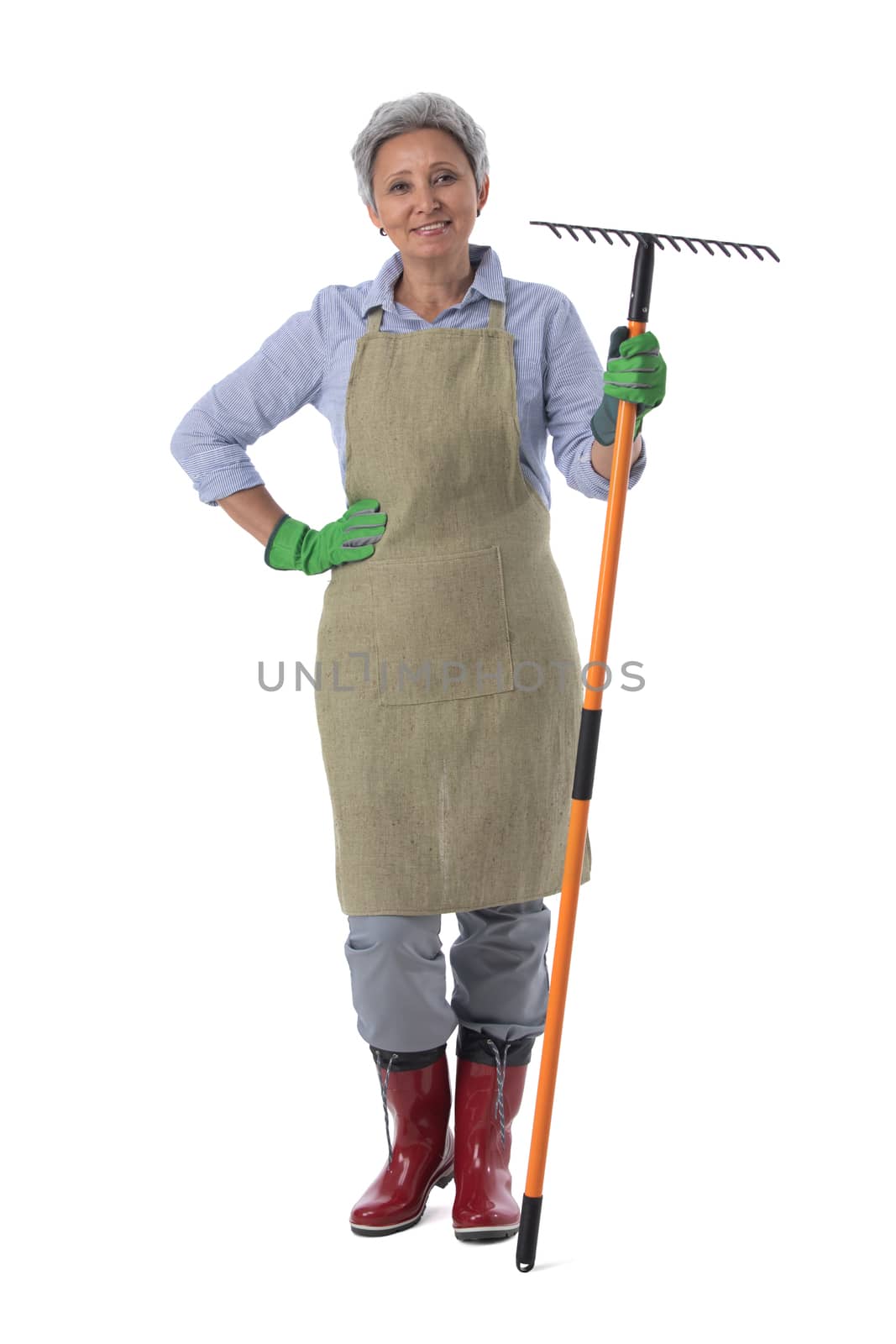 Gardening. Mature woman gardener worker with rake isolated on white background, full length portrait