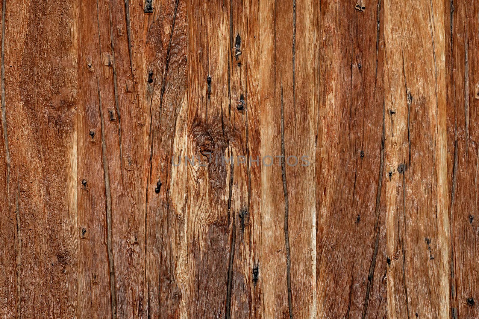 The texture of a very old cracked brown wood. by Sergii