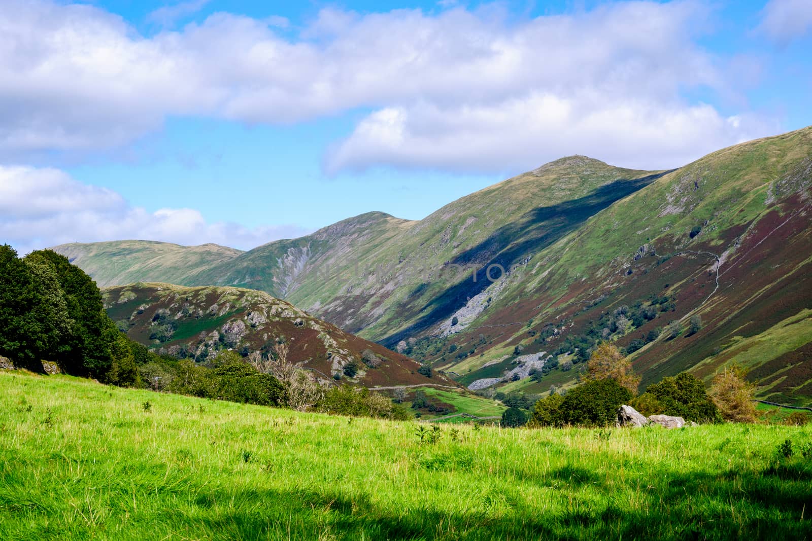 Rolling fells and valley in the Lake District UK with green fields in the summertime