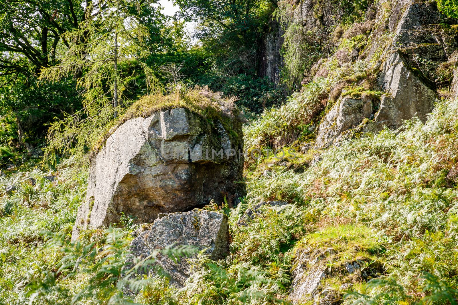 Rocky outcrop in the Lake District National Park in Cumbria, England, UK by paddythegolfer