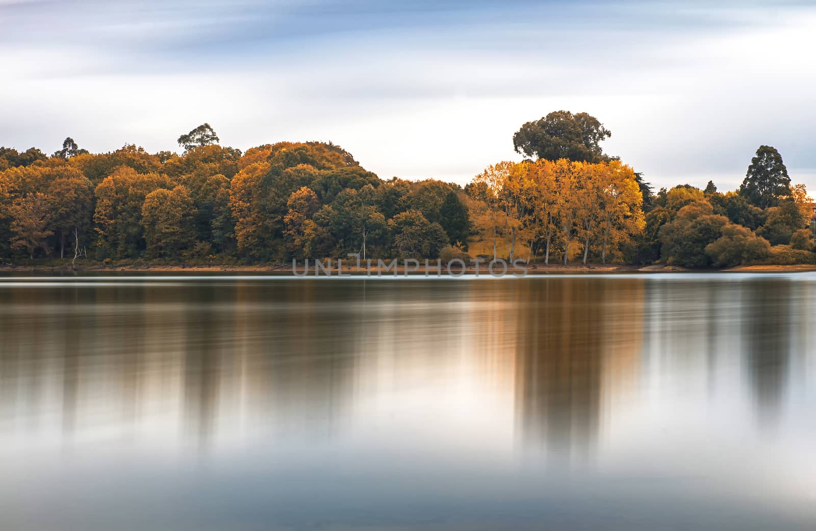 Trees with dry leaves in autumn reflected in a lake