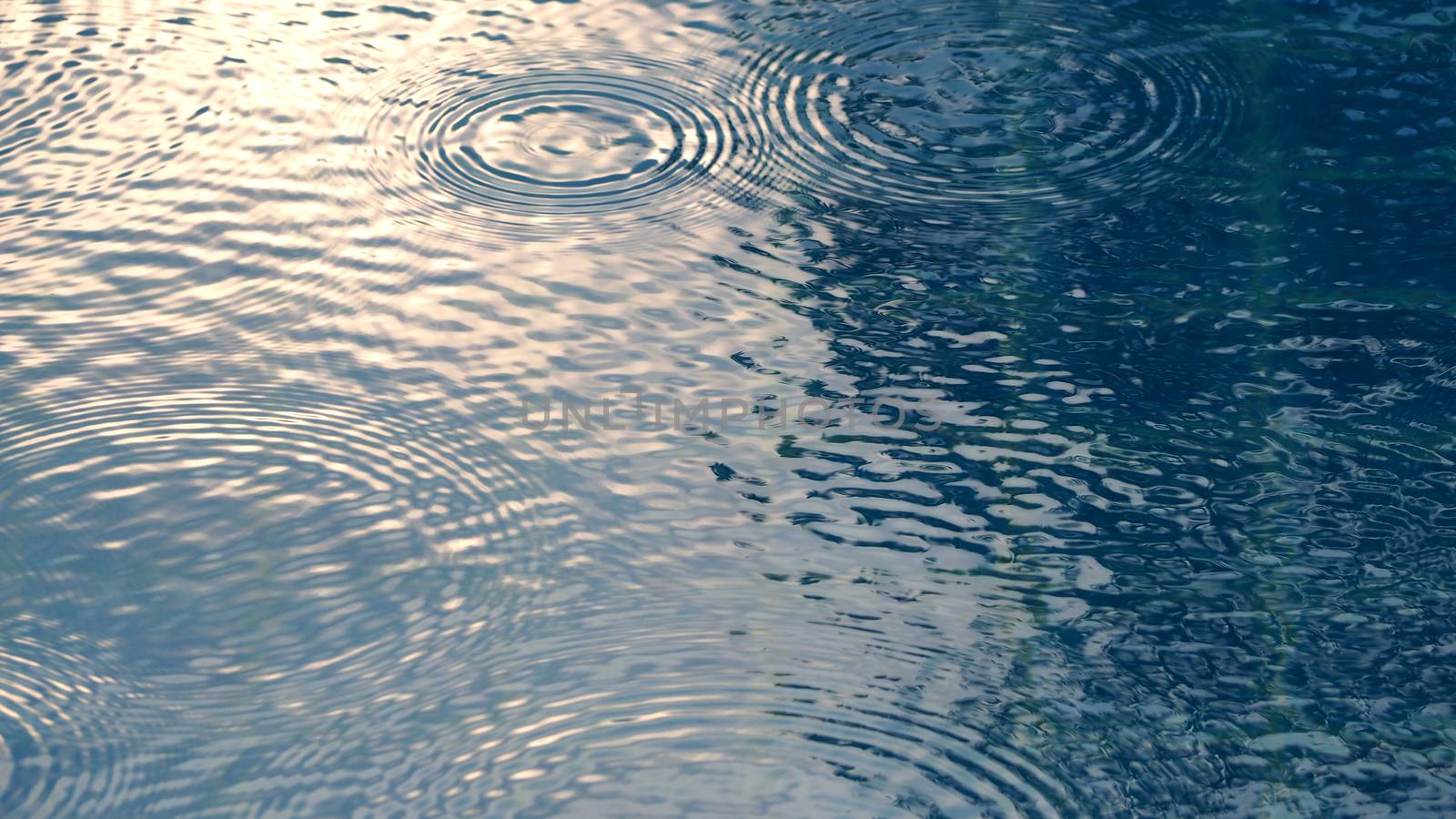 Rain drops on the swimming pool blue water surface that have ripple wave effect on liquid texture and top view angle.