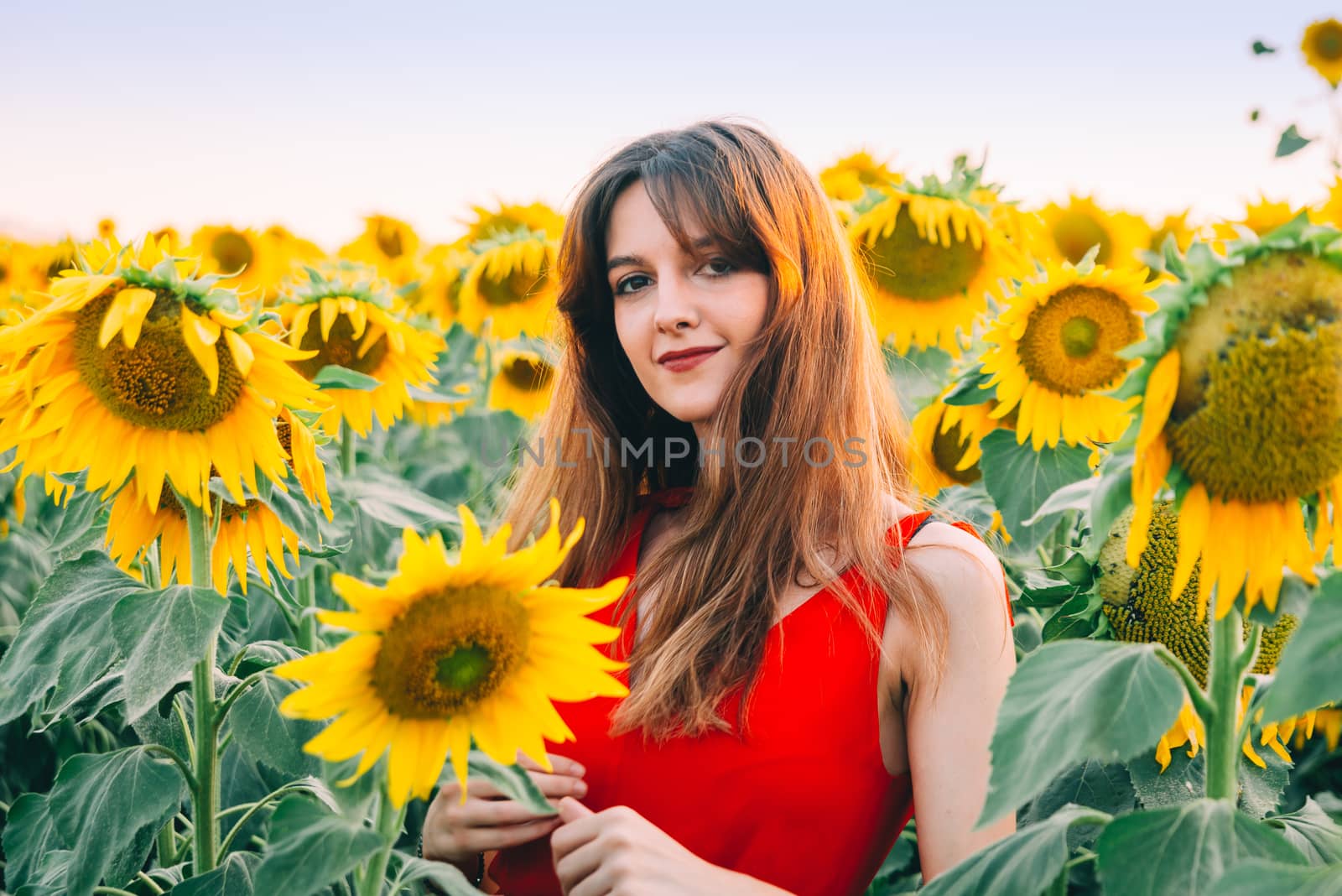 woman with red dress in sunflowers field.