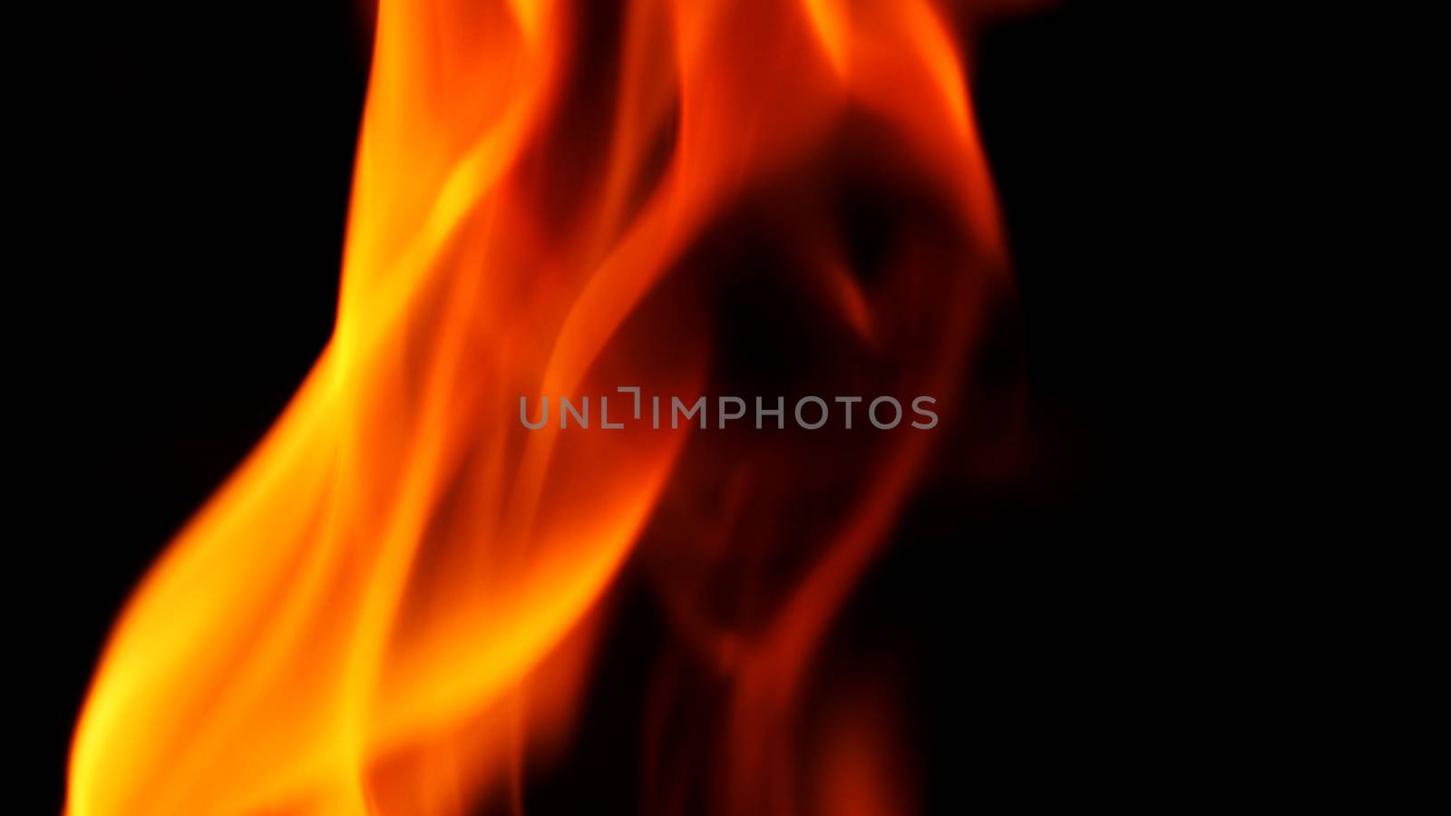 Abstract shape of fire close-up that burning with hot and danger on black background.