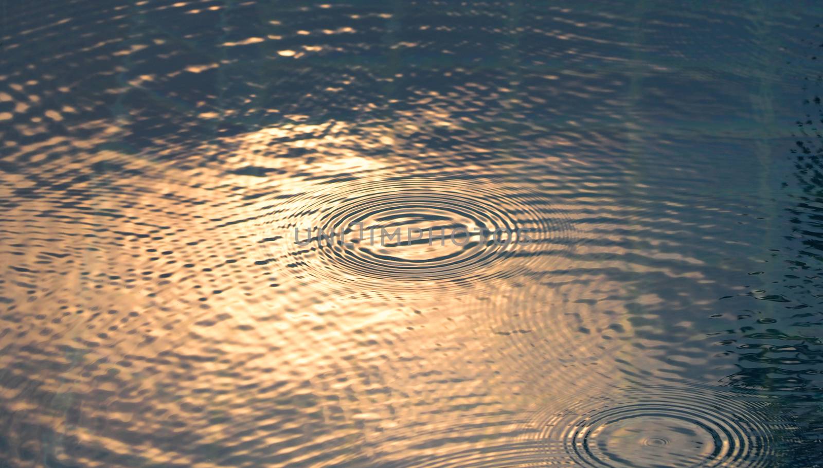 Rain drop on the water pool and have sunlight reflection on surfuce texture.