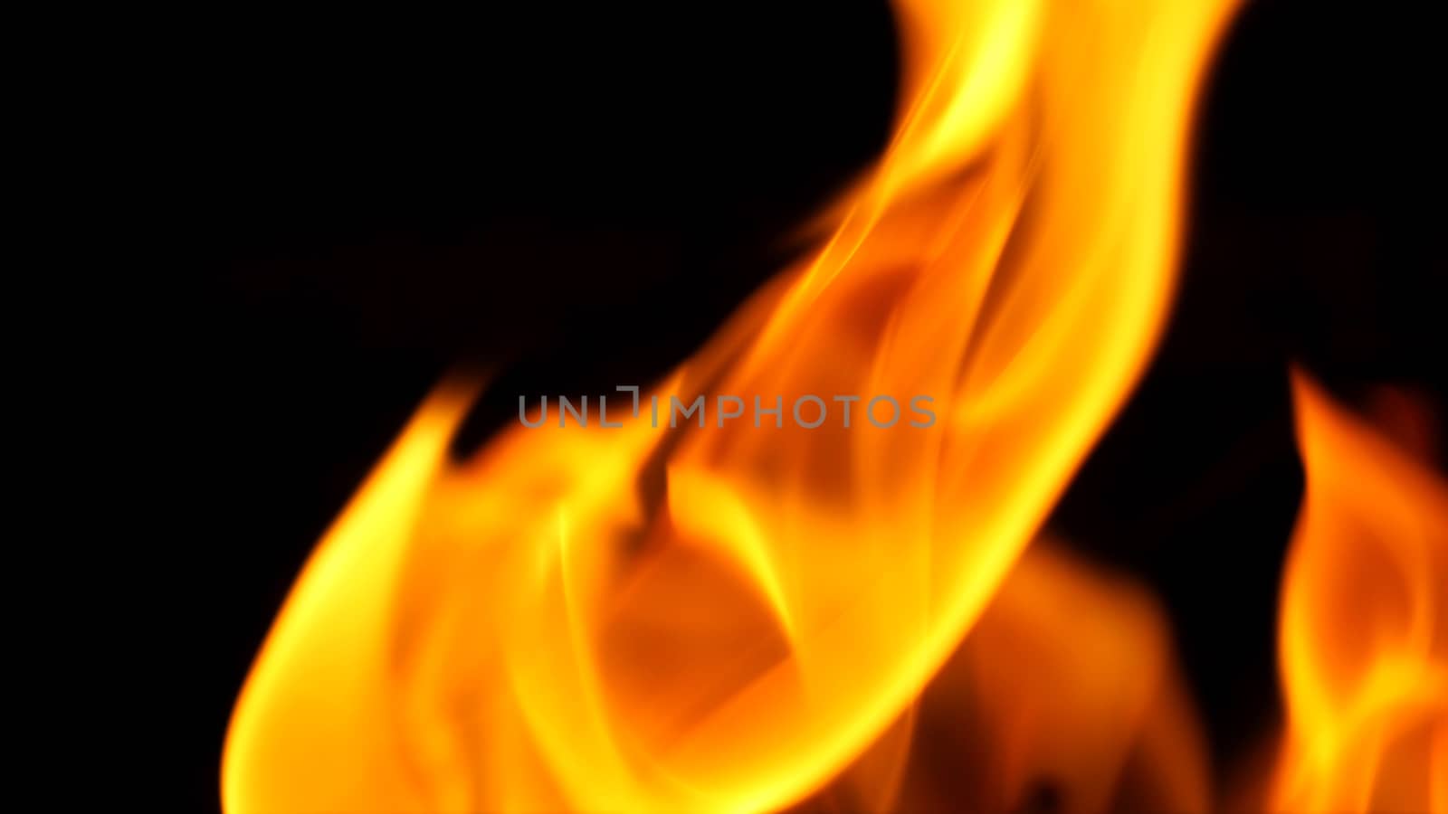 Fire blazing while cooking on black color background. by gnepphoto