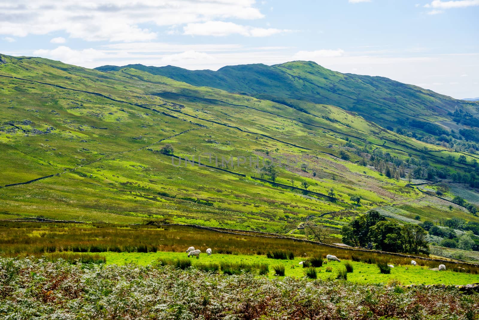 Kirkstone Pass view back down the valley toward Windermere by paddythegolfer