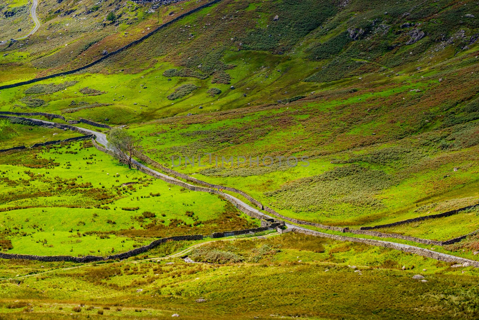 The Struggle road at Kirkstone Pass leading to Windermere lake Ambleside Lake District England by paddythegolfer