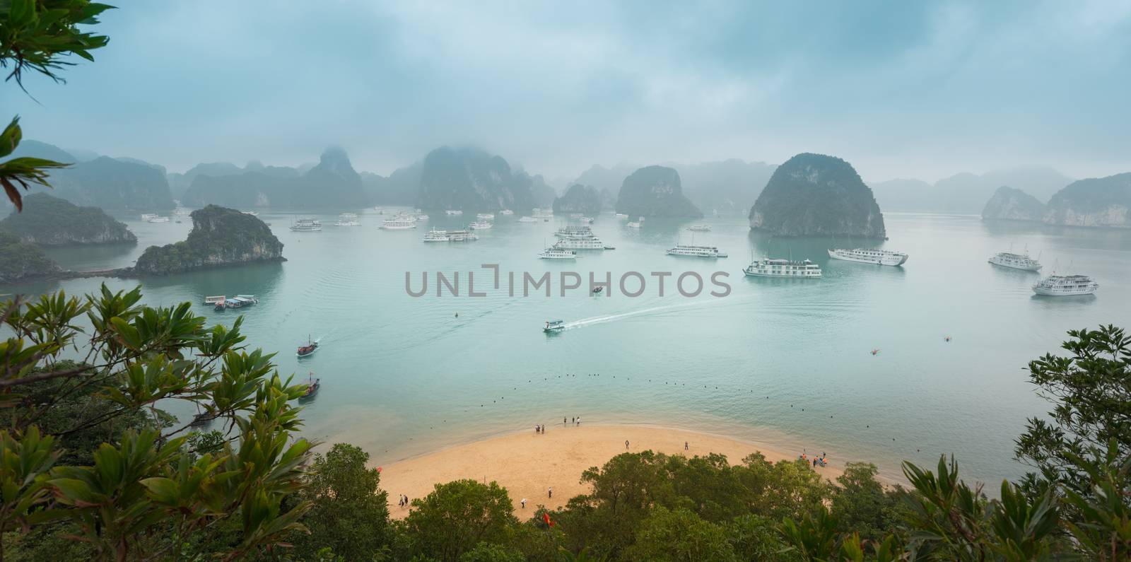 Panorama of Halong Bay in Vietnam with green leaves and beach in foreground. Cliffs and rocks standing out of water with boats floating around. Light fog in distance. Popular travel destination.