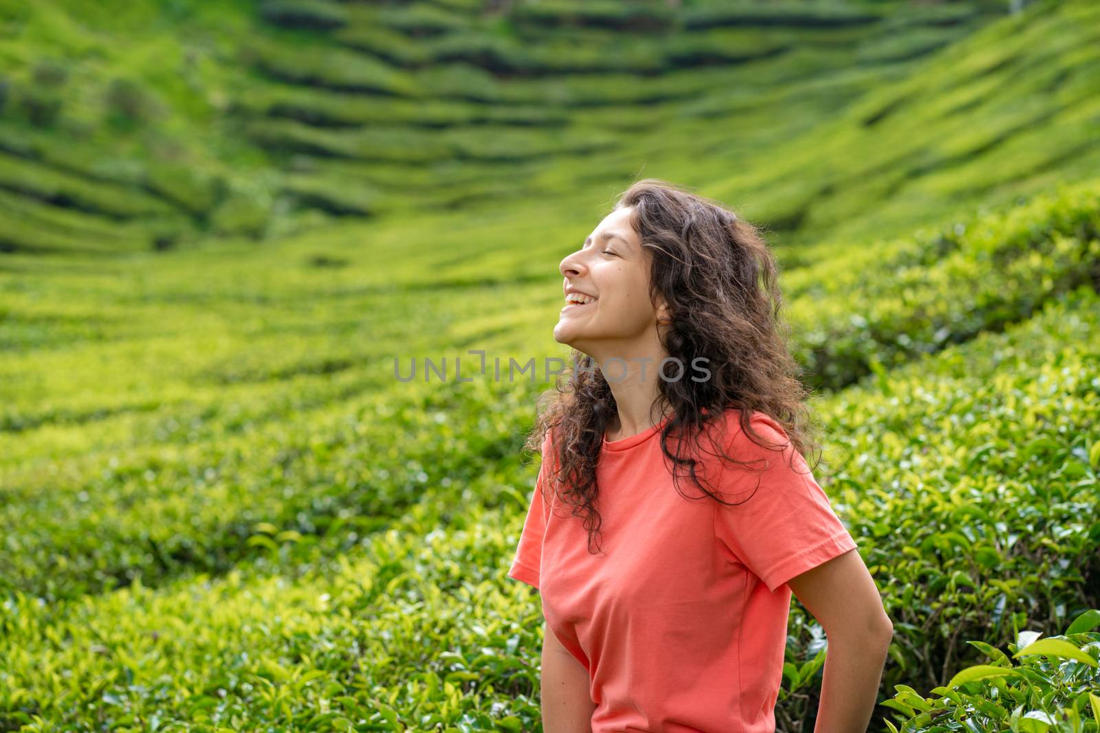 Beautiful brunette girl posing in the middle of the tea valley between green tea bushes