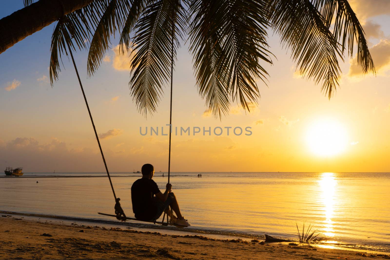 The guy enjoys the sunset riding on a swing on the ptropical beach. Silhouettes of a guy on a swing hanging on a palm tree, watching the sunset in the water