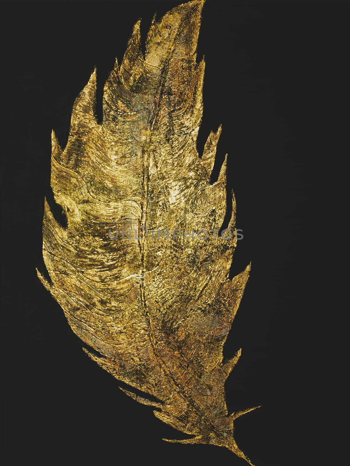 Metal Golden feather on black background. Gold glitter texture. Abstract painting. Art object