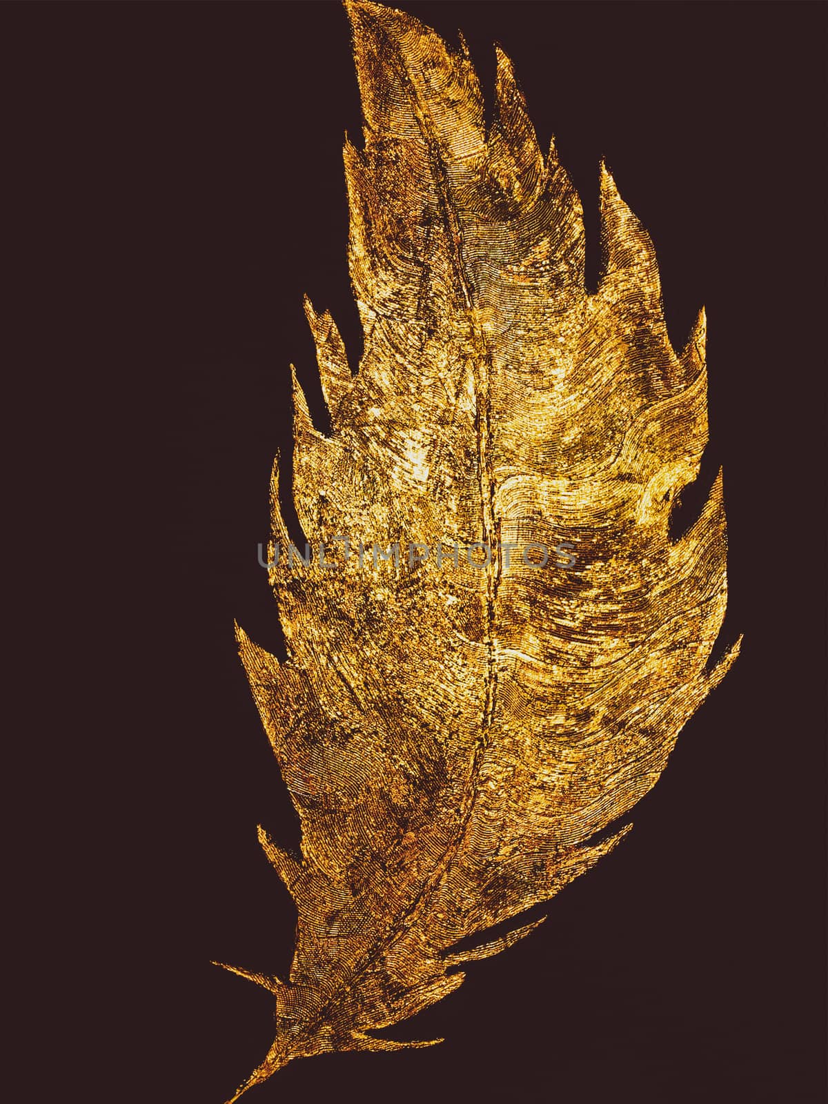 Metal Golden feather on black background. Gold glitter texture. Abstract painting. Art object