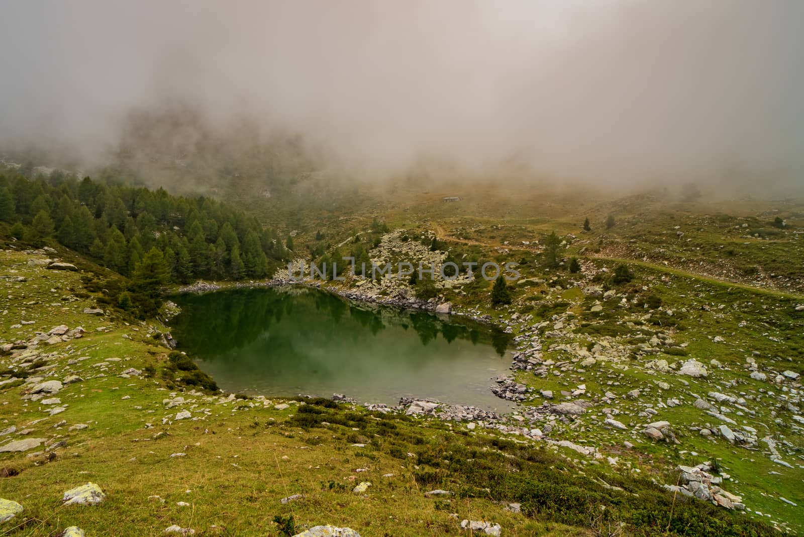 Mountain pond reflects the surrounding nature shrouded in morning fog, natural landscape with small body of water surrounded by trees