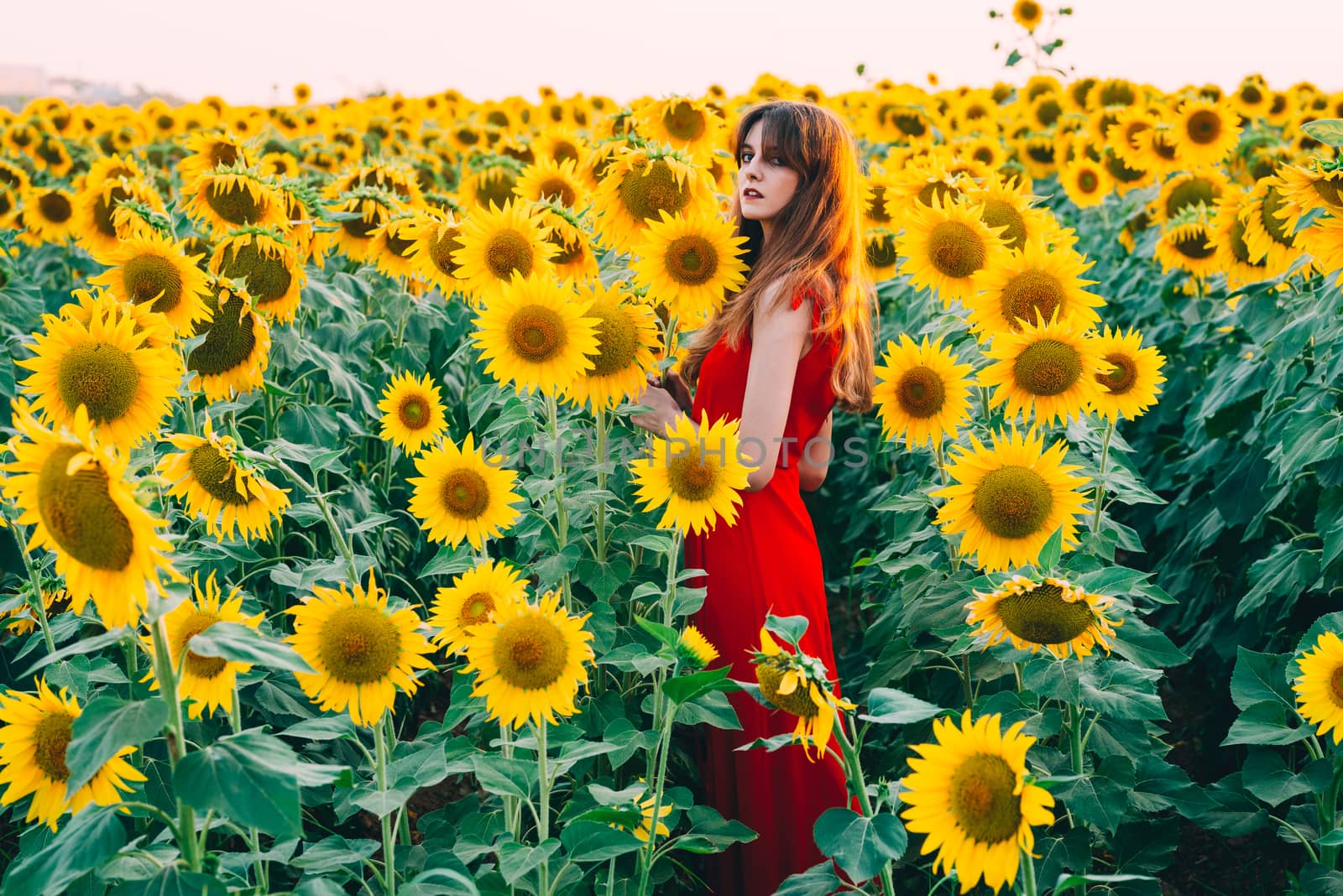 woman with red dress in sunflowers field.