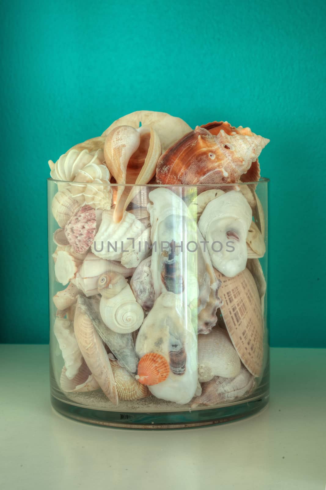 Jar of various seashells against an aqua blue green background in a decorative shelf.