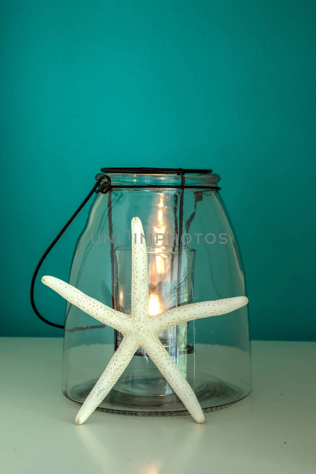Starfish against a candle with an aqua blue green background by steffstarr