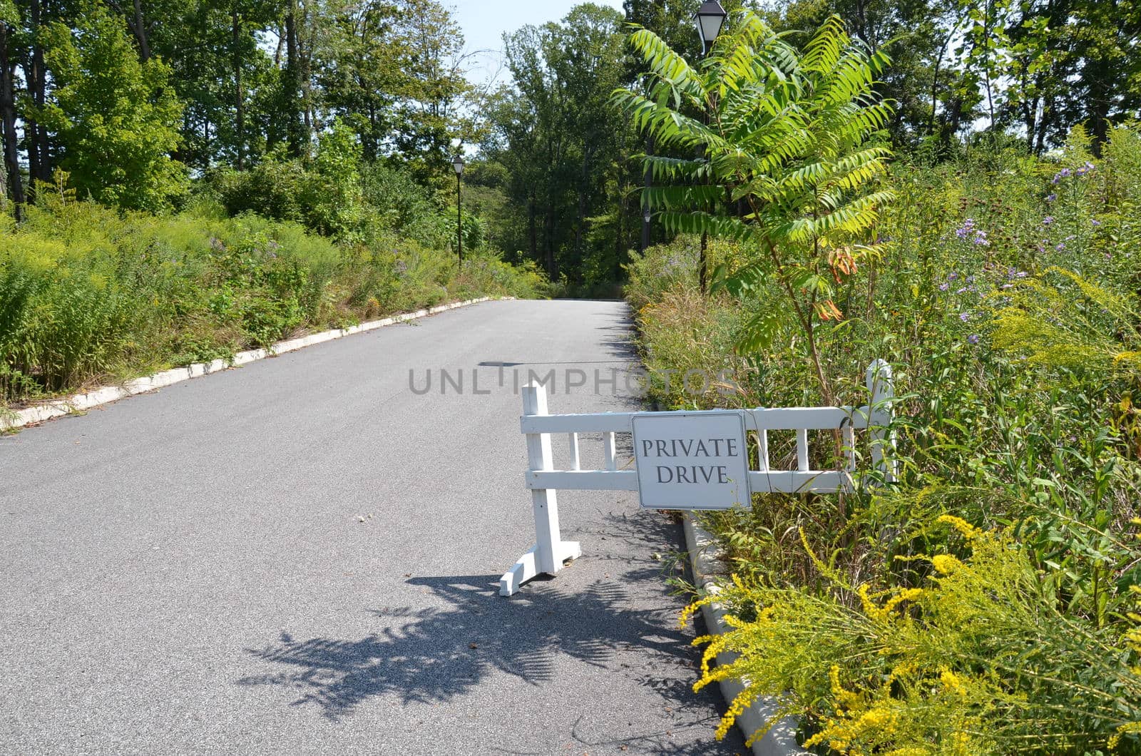 private drive sign and road with plants by stockphotofan1