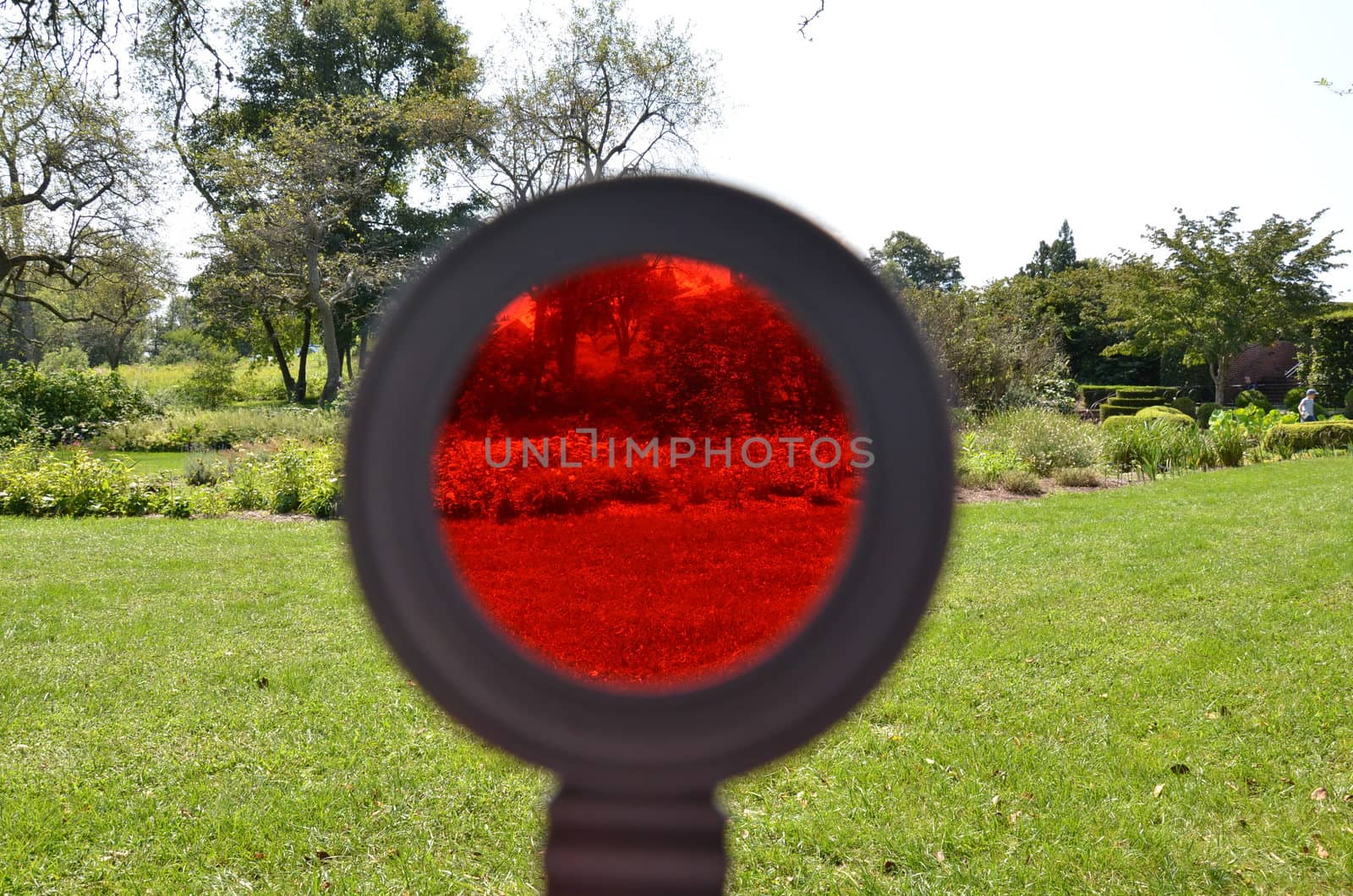 red tinted magnifying glass and grass lawn or yard