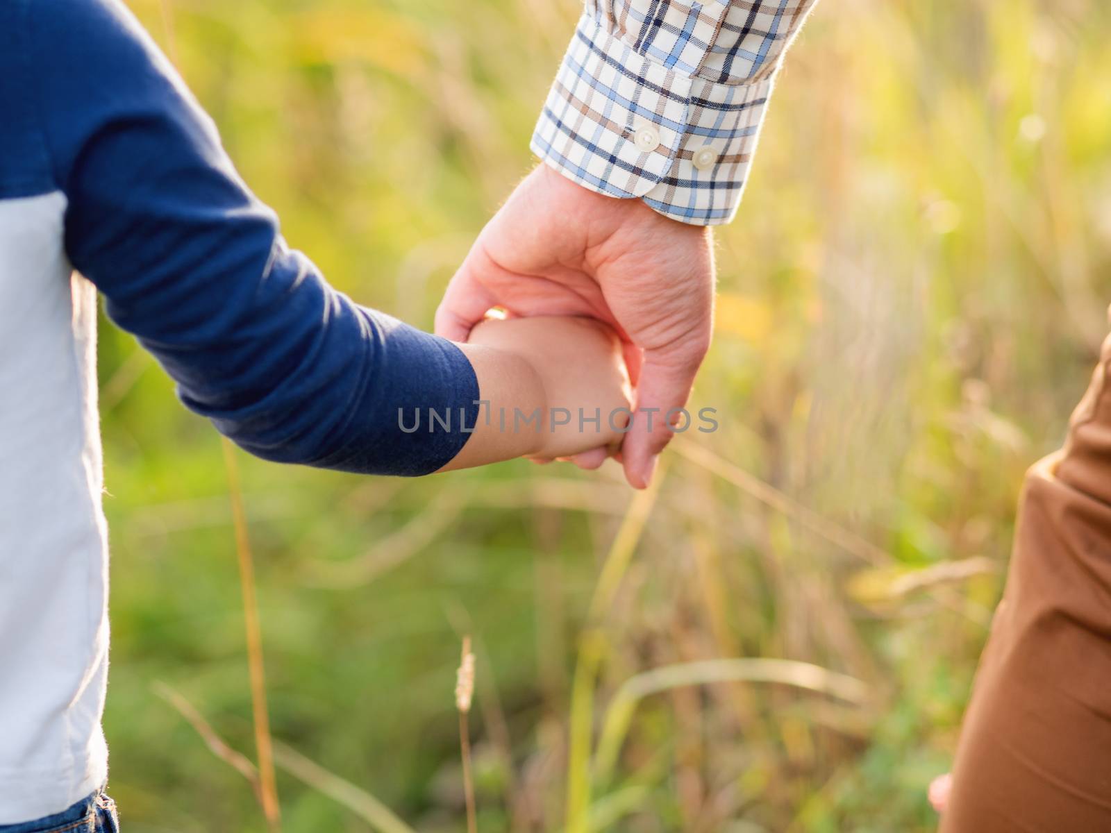 Father and son hold hands. Emotional and moral support. Man and boy shake hands. Golden hour outdoors. Natural summer or autumn background.