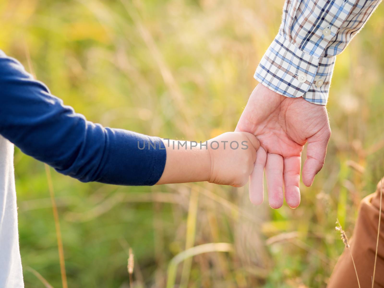 Father and son hold hands. Emotional and moral support. Kid holds daddy's finger. Golden hour outdoors. Natural summer or autumn background.