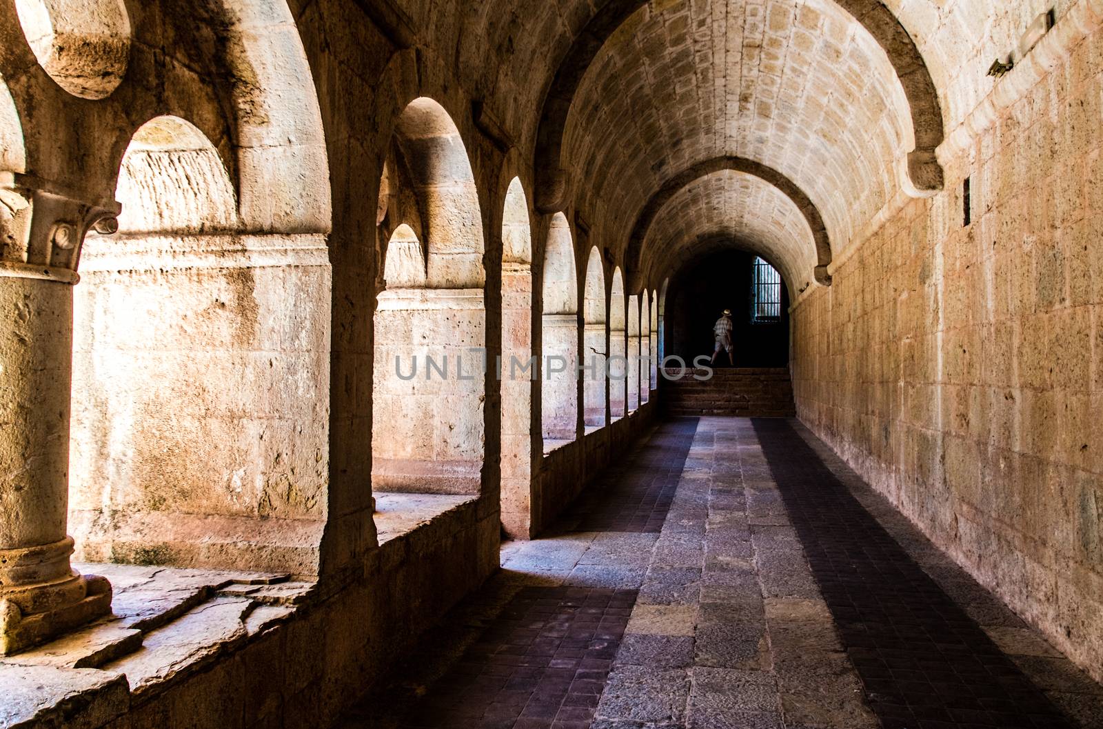 Cloister of the Thonoret abbey in the Var in France by raphtong