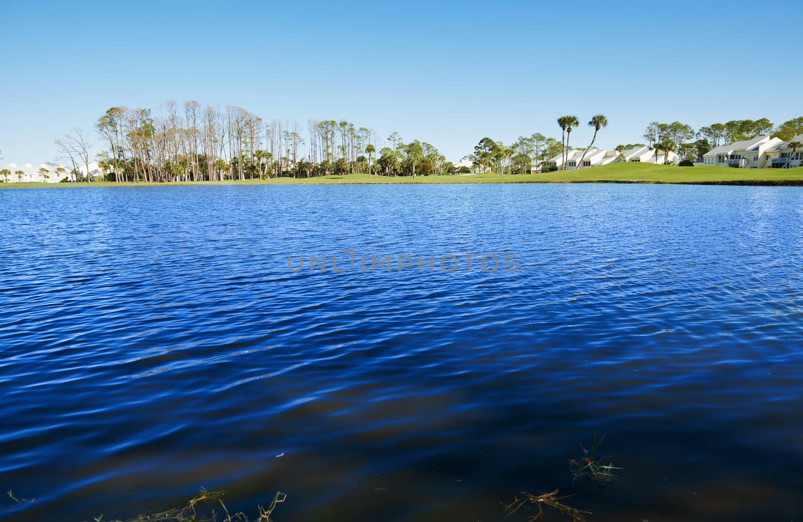 Lake in residential district, Florida, USA by Novic