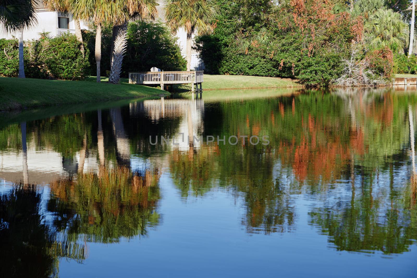 Pond at the residential area