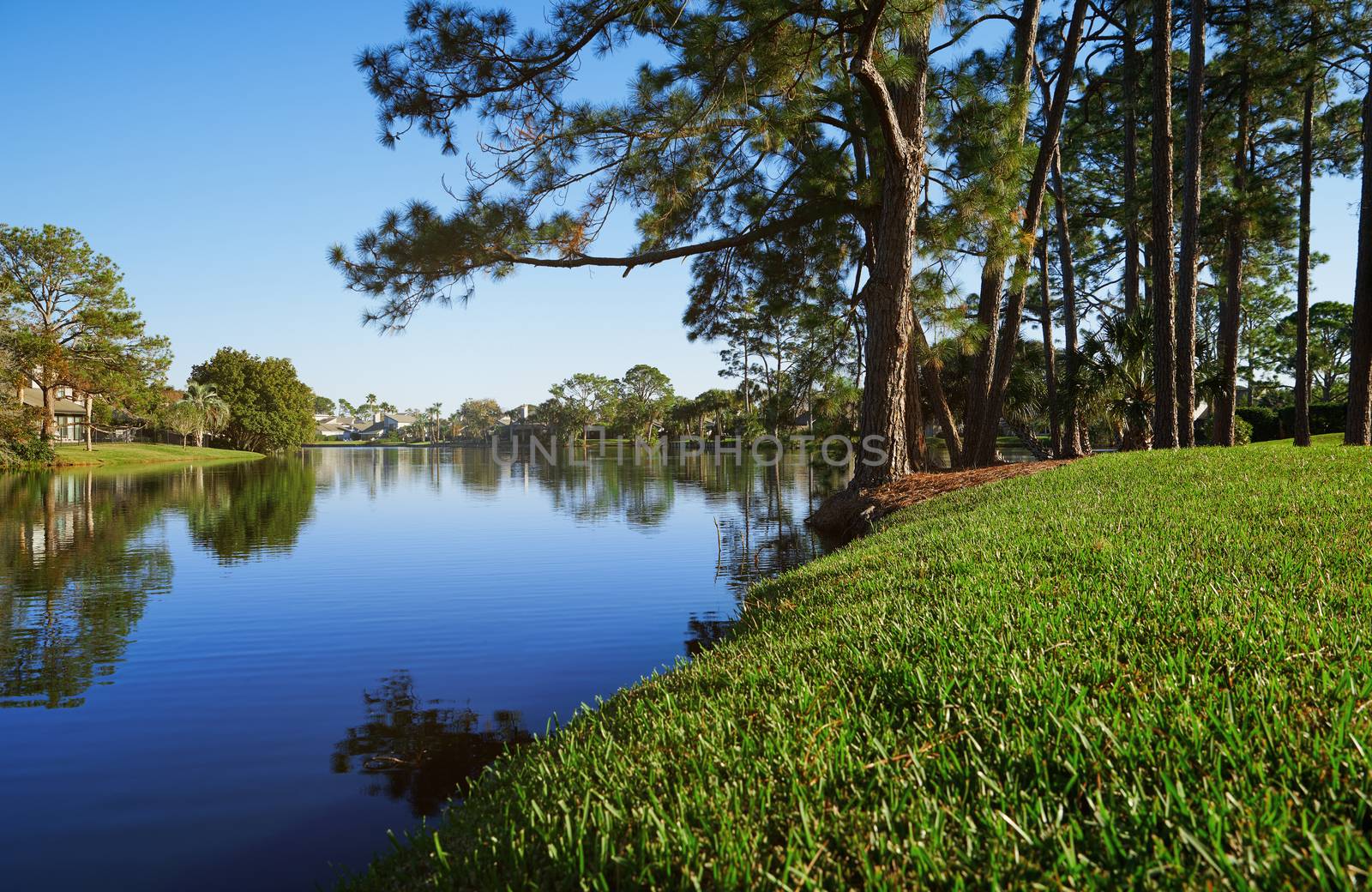Small lake in Florida, USA by Novic