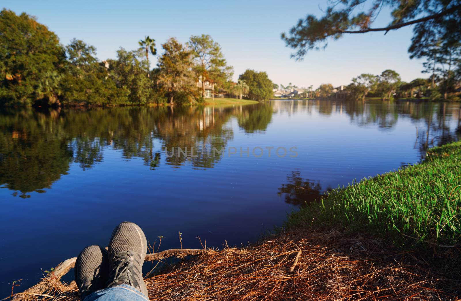 POV of man relaxing next to the lake