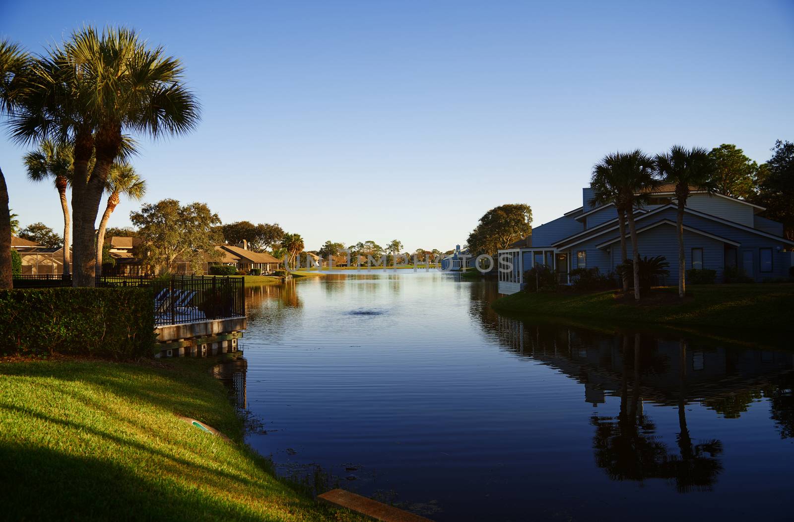View on suburb district with pond and palm trees. Florida, USA by Novic