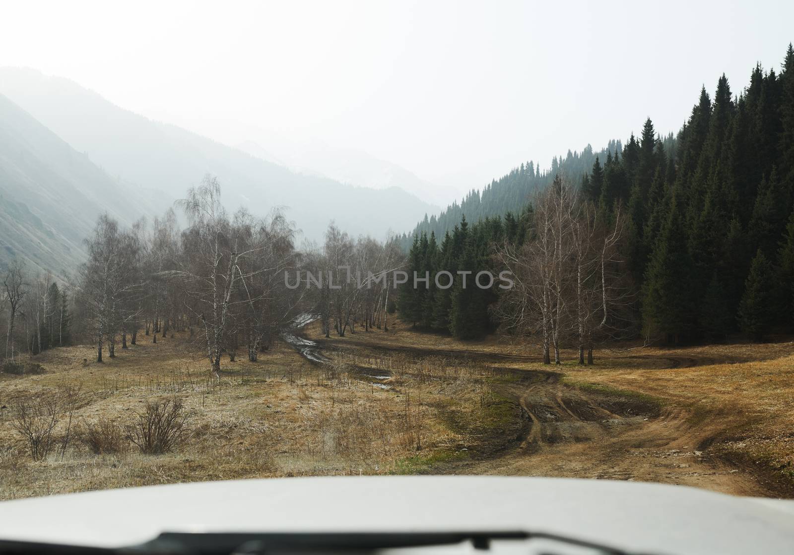 Road trip through the nature of Europe. Car point of view by Novic