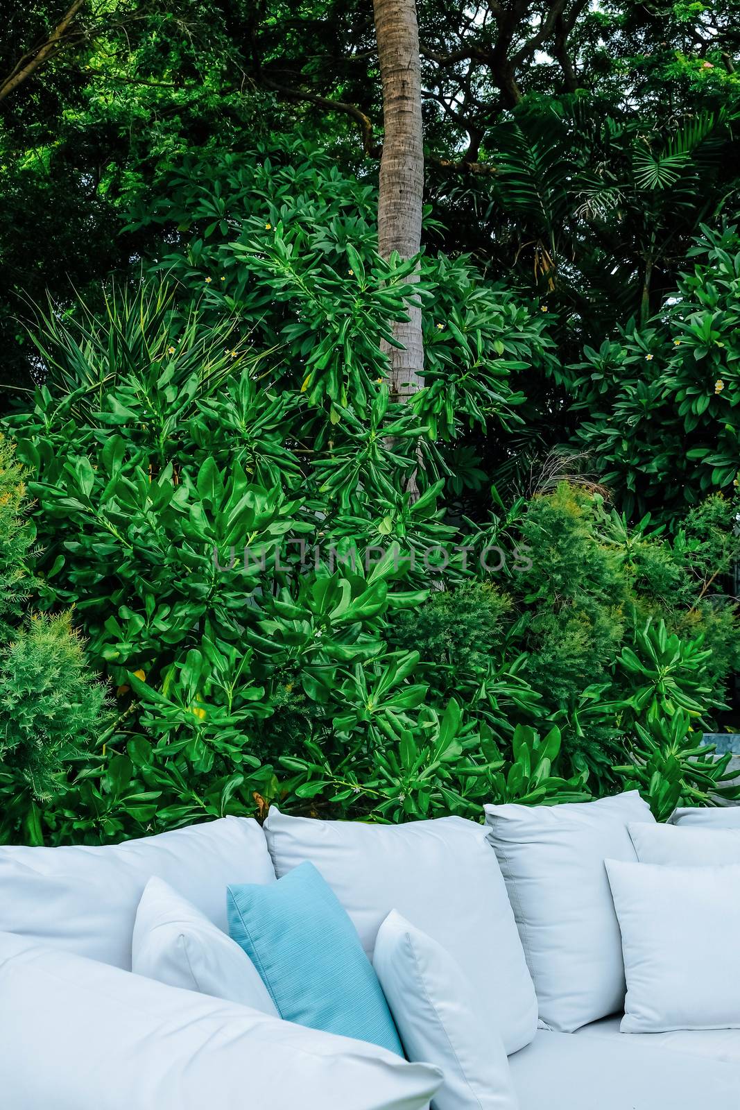 close up Image of Seating sofa cushion in the garden