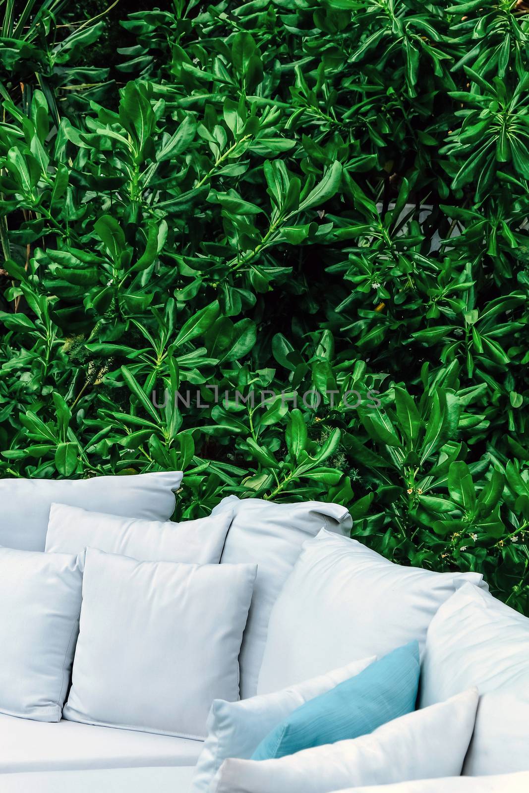close up Image of Seating sofa cushion in the garden by ponsulak
