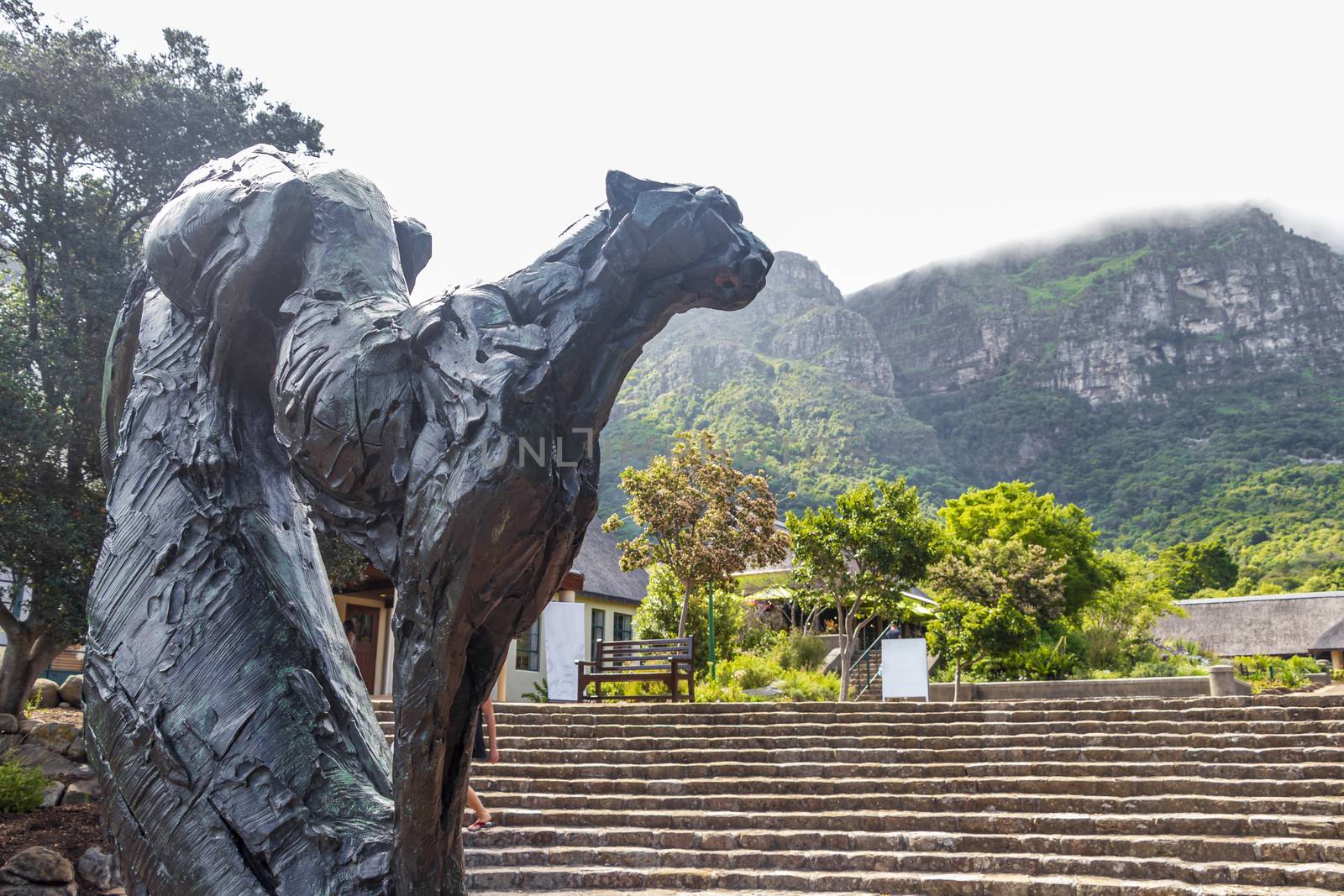 Puma sculpture in Kirstenbosch Botanical Garden in Cape Town.