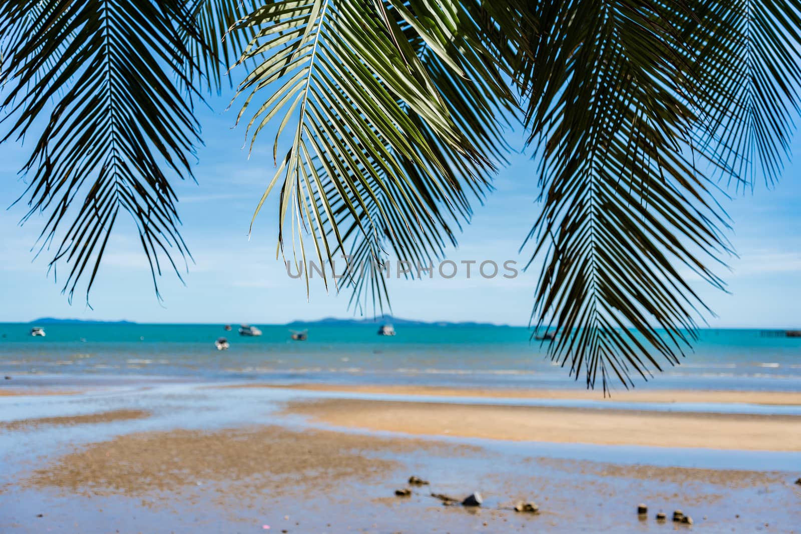 Coconut tree and scenery beach with blue sky for summer holiday