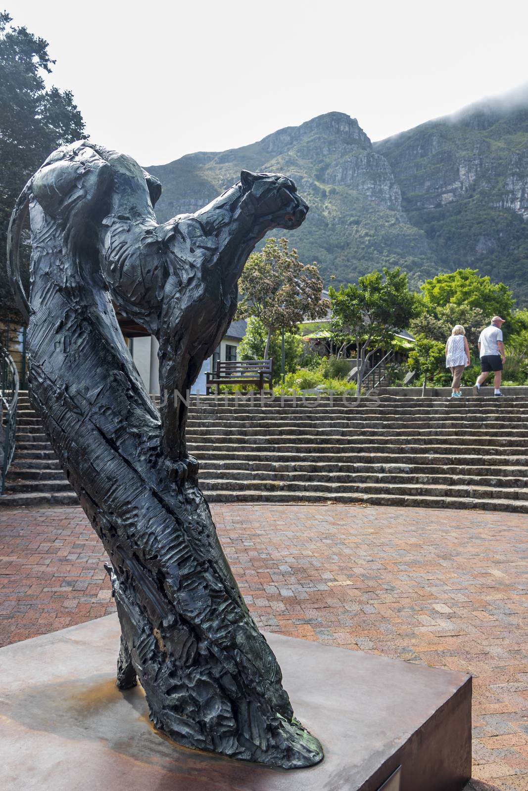 Dylan Lewis sculpture puma in the beautiful Kirstenbosch Gardens in Cape Town.