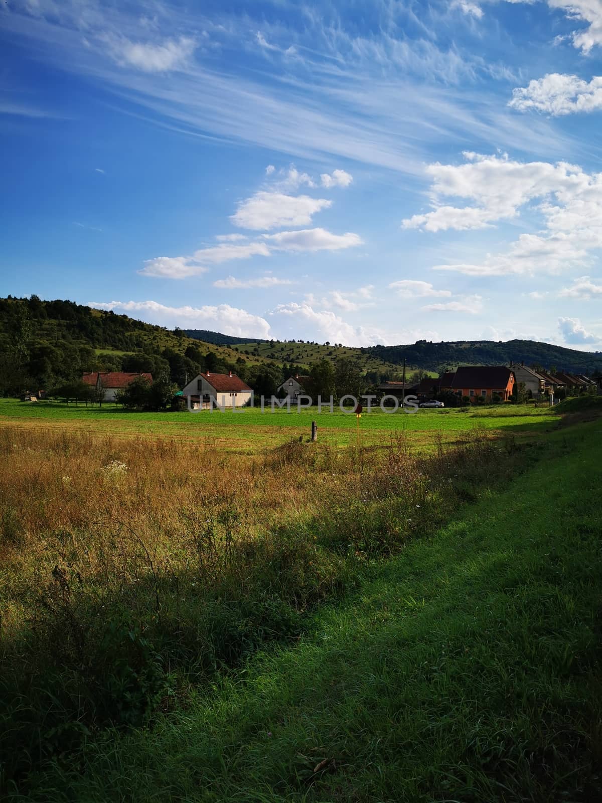 A close up of a lush green field. High quality photo