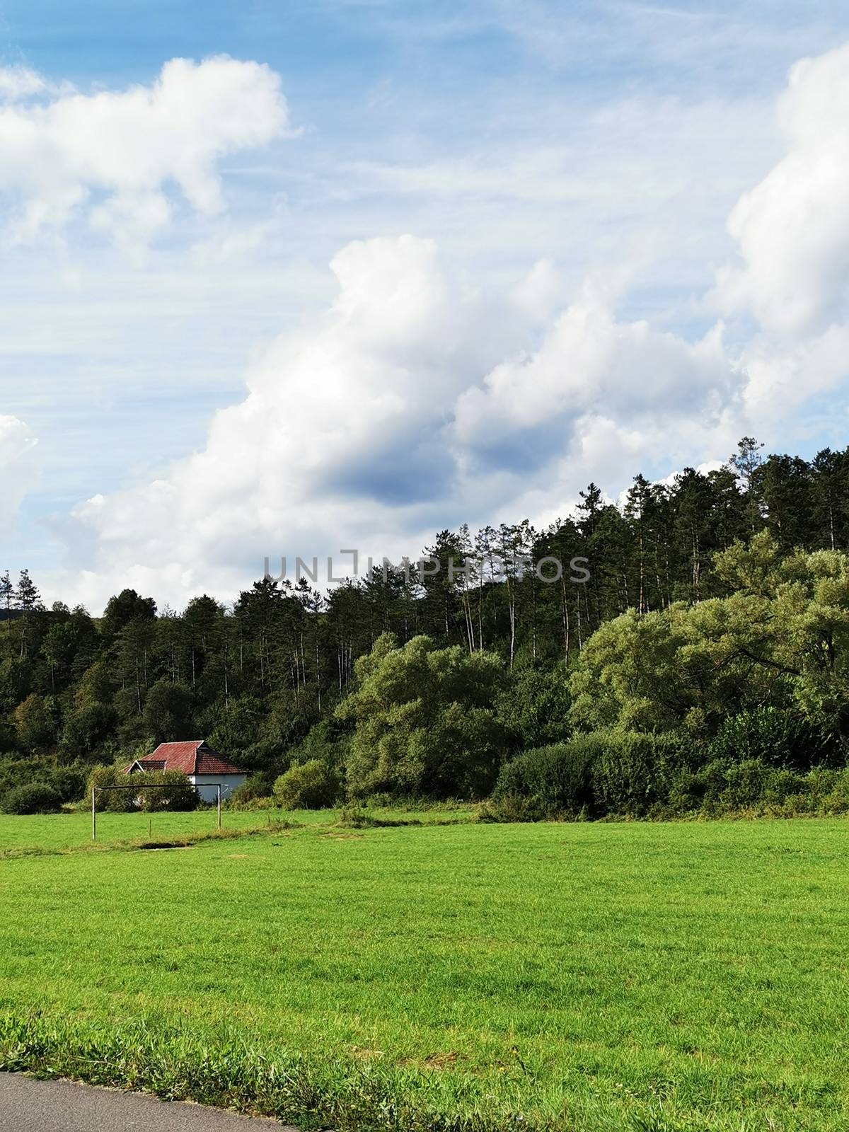 A large green field with trees in the background. High quality photo