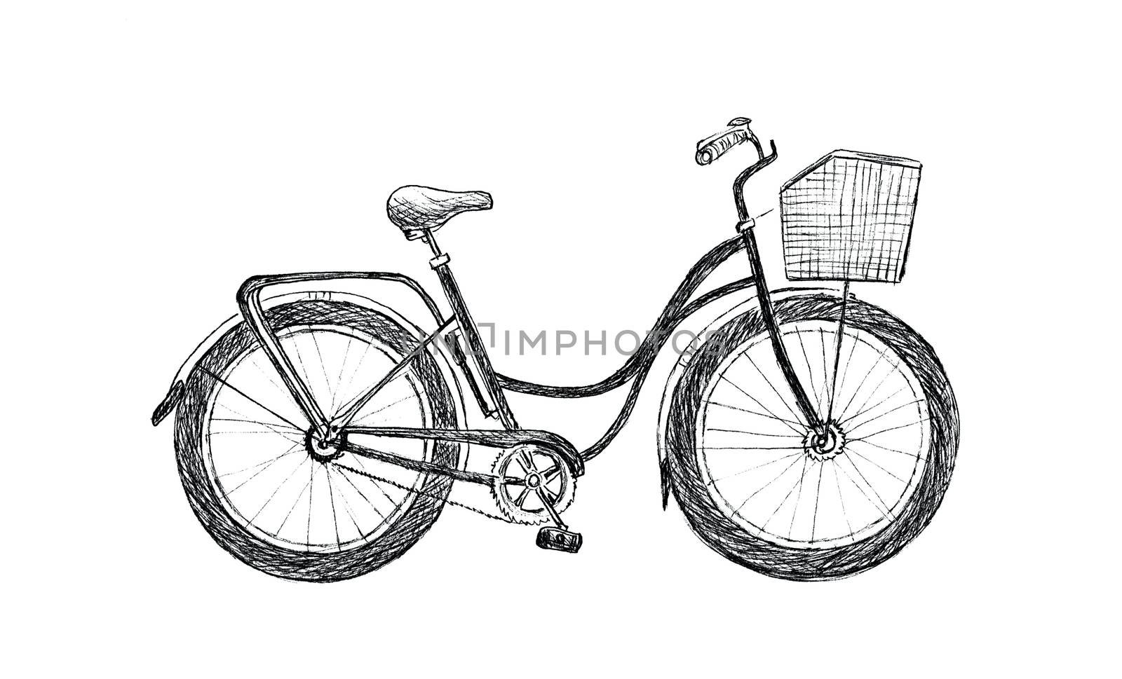 Vintage road bicycle hand drawn illustration. Eco transport sketch isolated on white background by sshisshka